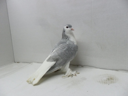 small product photo