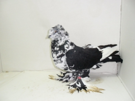 small product photo