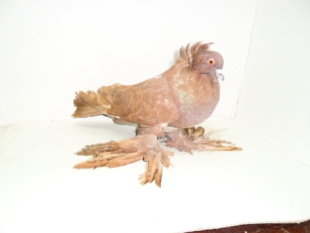 small product photo